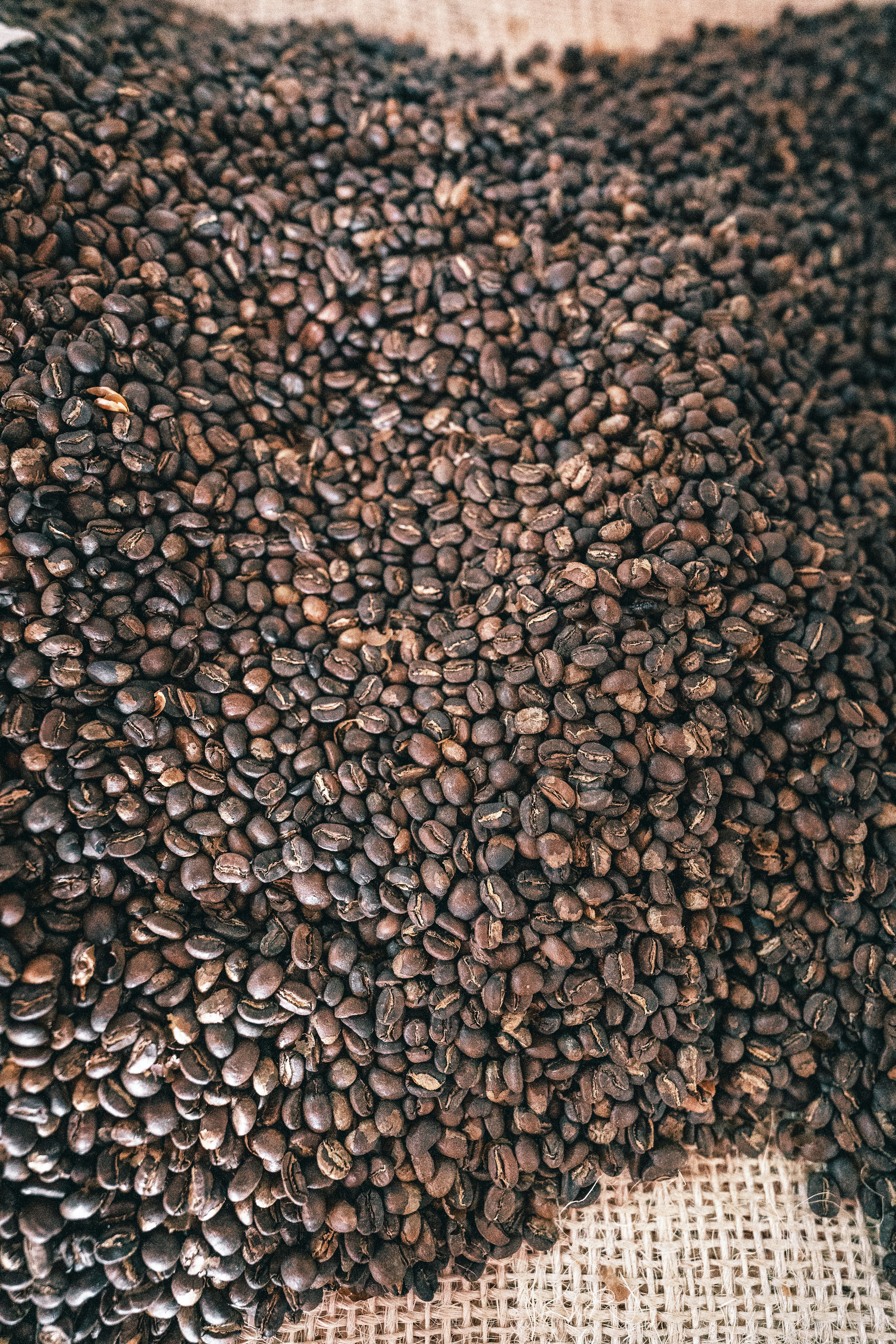 Arabica Coffee